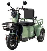 Triciclu Electric Persoane TRP500