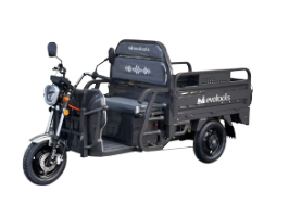 Triciclu Electric Cargo TRCC1000