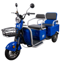 Triciclu Electric Persoane Bancheta Dubla Bendis TRCC1200 EvoTools