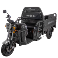 Triciclu Electric Cargo Balaur TRCC1000