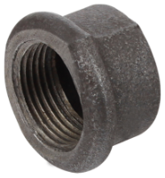 Capac Ng 300