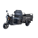 Triciclu Electric Cargo TRCC1000