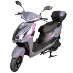 Scuter Electric EvoRide X SC1500SK